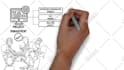 create engaging colored custom whiteboard animation explainer video