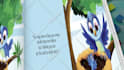 make this children book trailer promo video