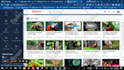 build video sharing website, build youtube clone website