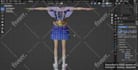 do 3d character rigging professionally in blender