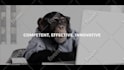 create a monkey business cinematic video ad