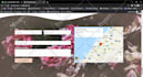 build art website for you music, portfolio, podcast