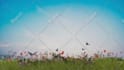 create relaxing meditation photorealistic animations 1,2,3 hours  long videos