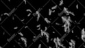 create custom stinger transition