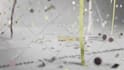 put your logo on a festive confetti animation