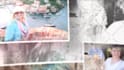 edit any after effect template and premier pro of videohive