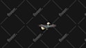 animate a 2d character