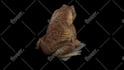 composite your vfx shots adding cgi elements to your footage