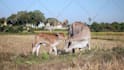 create wildlife animals copyright free fighting videos for youtube