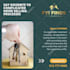 design attractive posts for your social media accounts