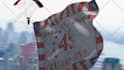 skydive with your flag