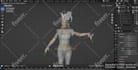 do 3d character rigging professionally in blender
