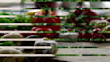 create cinematic food and recipe videos for you