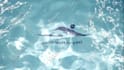 create a promo video with your logo in swimming pool