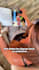 create authentic ugc videos for baby, beauty, travel brands