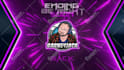 design animated stream overlay, kick, twitch overlay, twitch logo, banner emotes