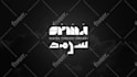 create professional custom logo animation intro