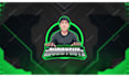 design professional twitch and kick overlay,logo and screens