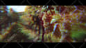 expertly create your stunning music video within 24 hours