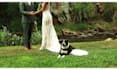 do wedding video editing with cinematic storytelling