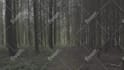 create epic trailers for your film, game, or book