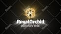 3d motion graphics animated logo intro video