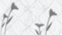 create a trendy hand drawn lyric video for your song