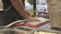 film pakistani street food in 4k