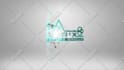 design an eye catching and professional 3d logo for your brand