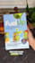 create captivating ugc or social media ads for your brand