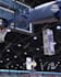 provide professional video editing within 24 hours