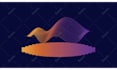create a perfect custom logo animation in 24 hours