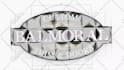 create professional 3d logo animation intro video for youtube and brands
