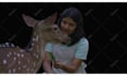 do rotoscoping, green screen removal and chroma keying