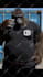 make a viral ai vlog with bigfoot, monkey, or any crazy idea