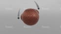 create 3d animation on cinema 4d with redshift or octane