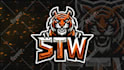 create custom stinger transition