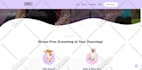 build mobile responsive wordpress website design