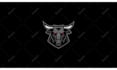 create a perfect custom logo animation in 24 hours