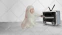 animate a professional clay, paper cutout stop motion video