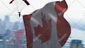 skydive with your flag