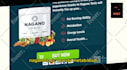 create videos for affiliate marketing, ads promo, articles