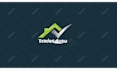 create a perfect custom logo animation in 24 hours
