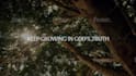edit in stock footage to your christian content video