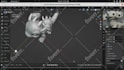 design 3d flexi toy 3d articulated bjd doll 3d flexi model stl file