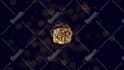 design 3d realistic gold coin logo 4k animation,crypto,bitcoin,token,nft art