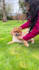 create a dog ugc with my pomeranian, amazon, tiktok, reels
