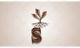 create a perfect custom logo animation in 24 hours
