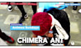 edit your youtube anime videos, anime recaps and explanation