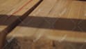 be your professional youtube video editor and cutter